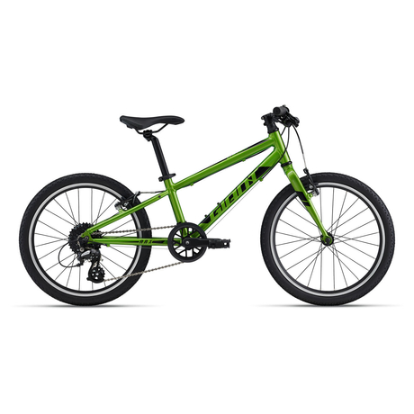 GIANT Arx 20 20-as gyerek kerékpár 2022 - metál zöld