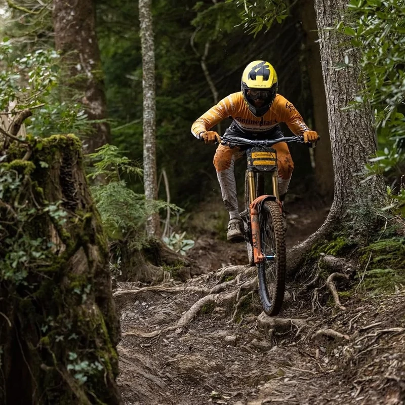 CONTINENTAL Argotal Enduro Soft kerékpár külső gumi - 60-584 - 5