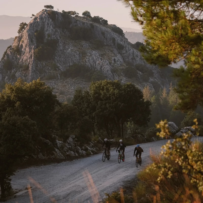 CONTINENTAL Terra Trail ShieldWall kerékpár külső gumi - fekete - 47-584 - 6