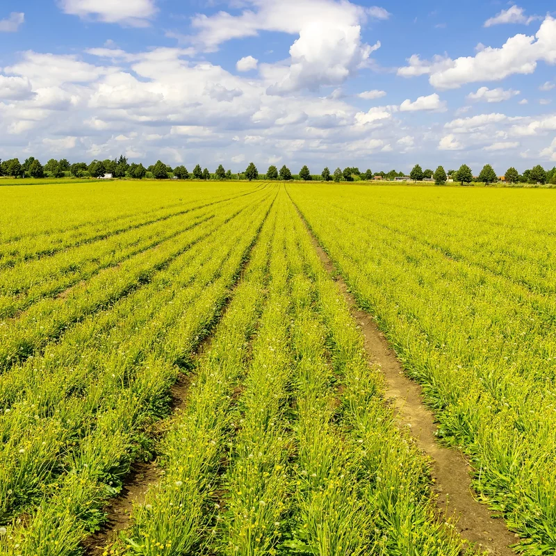 CONTINENTAL Urban Taraxagum kerékpár külső gumi - 6